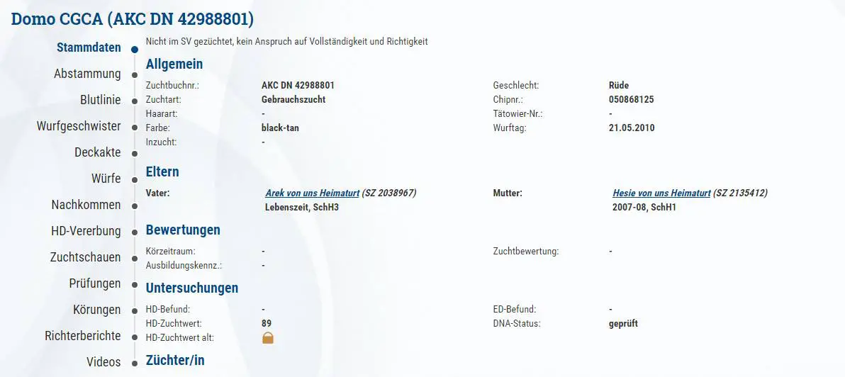 How do i get akc papers for my dog - proofreadingxml.web.fc2.com